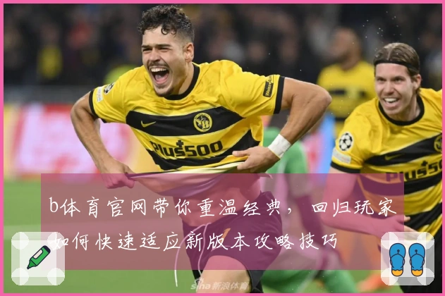 b体育官网带你重温经典，回归玩家如何快速适应新版本攻略技巧