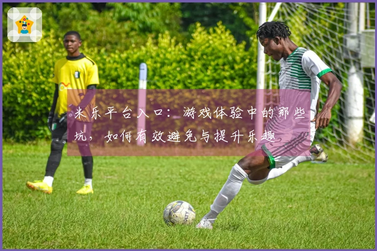 米乐平台入口：游戏体验中的那些坑，如何有效避免与提升乐趣