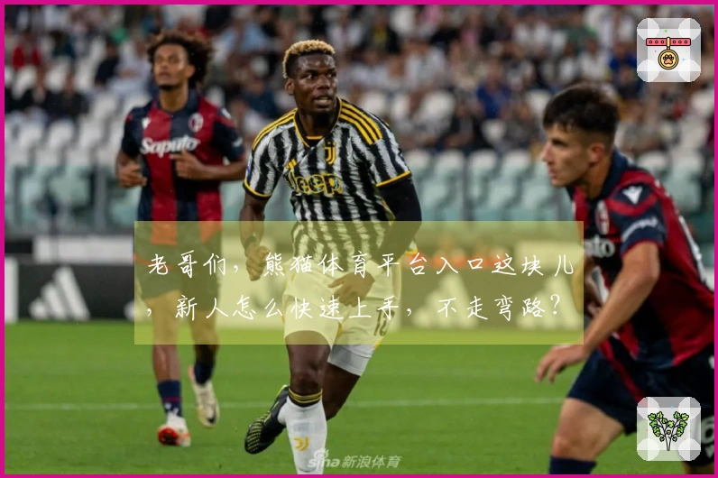 老哥们，熊猫体育平台入口这块儿，新人怎么快速上手，不走弯路？